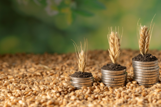 Na visão de João Eustáquio De Almeida Junior, gestão rural eficiente é o que transforma produção no campo em resultado sustentável. Entenda neste artigo.