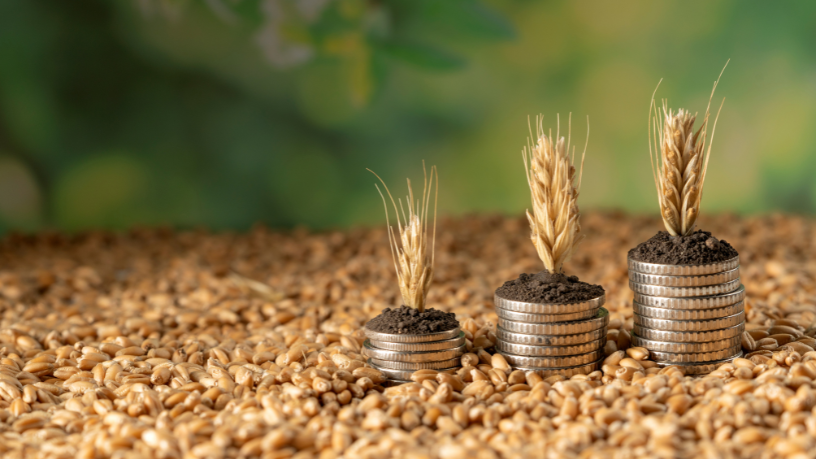 Na visão de João Eustáquio De Almeida Junior, gestão rural eficiente é o que transforma produção no campo em resultado sustentável. Entenda neste artigo.