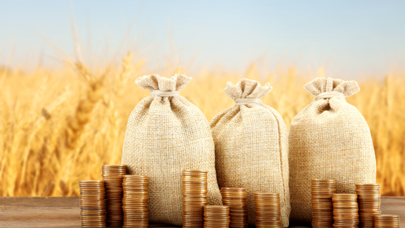 Produzir bem não basta: João Eustáquio De Almeida Junior explica por que administrar a gestão rural é tão estratégico quanto o trabalho no campo.